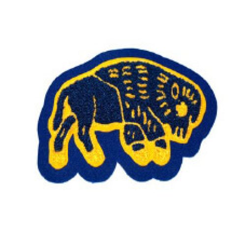 Milby High School - Buffalos