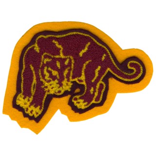 Carver High School - Panthers