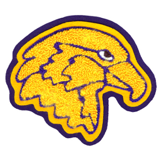 Channelview High School – Falcons