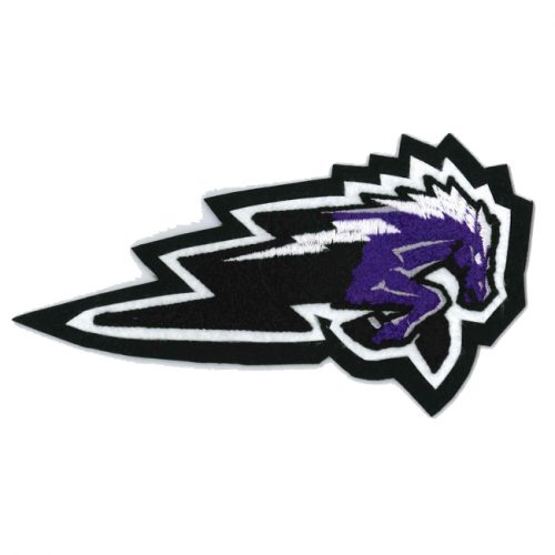 Fulshear High School - Chargers