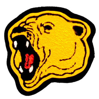 Hastings High School - Fighting Bears