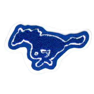 Lamar Consolidated High School - Mustangs