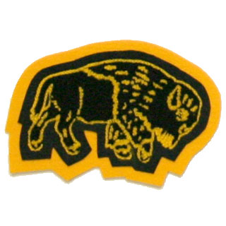Marshall High School - Buffalos