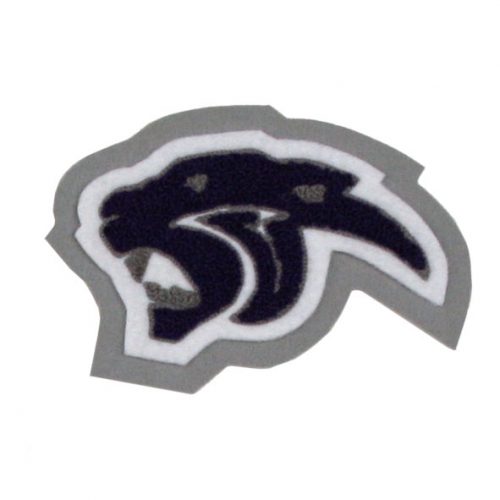 Ridge Point High School - Panthers