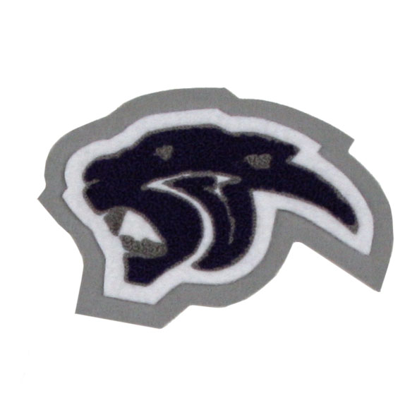 Ridge Point High School – Panthers