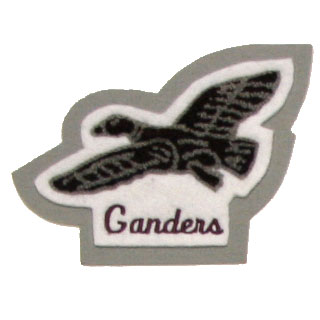 Robert E Lee High School - Ganders