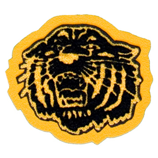 Sam Houston High School - Tigers