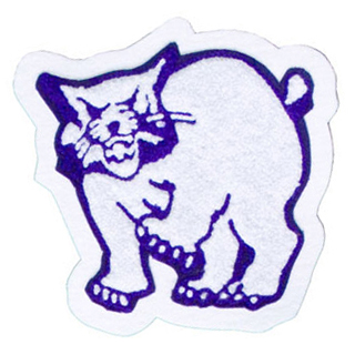 Wheatley High School - Wildcats